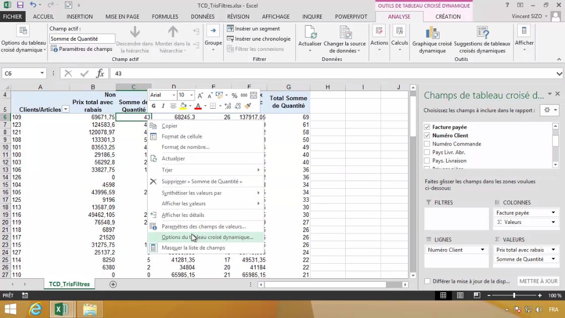 Meilleur Tuto Gratuit Excel Ma Triser Les Tableaux Crois S Dynamiques Filtres Par