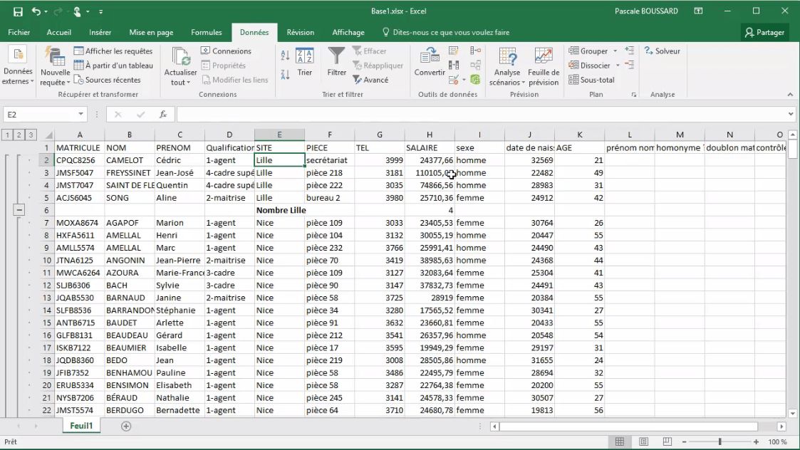 Meilleur Tuto Gratuit Excel 2016 Niveau Expert 12 Insérer Des Lignes De Statistiques 3051