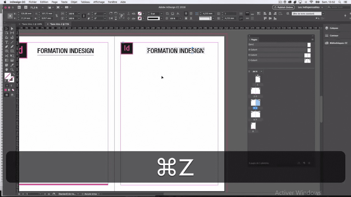 Libérer Les éléments Du Gabarit Indesign 2022
