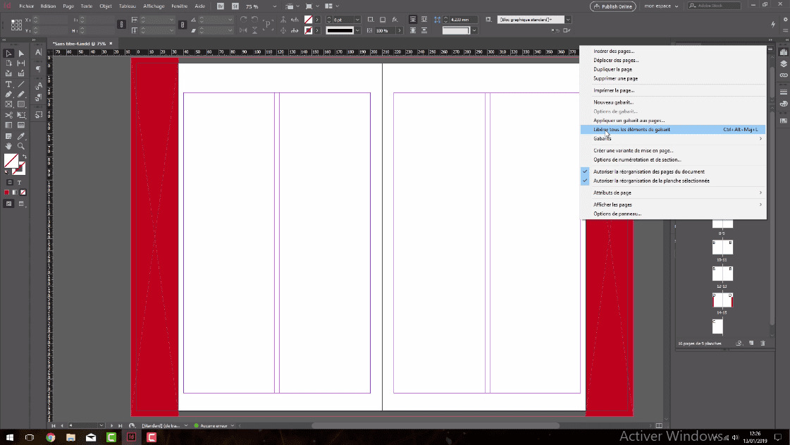 Adobe Indesign Elements