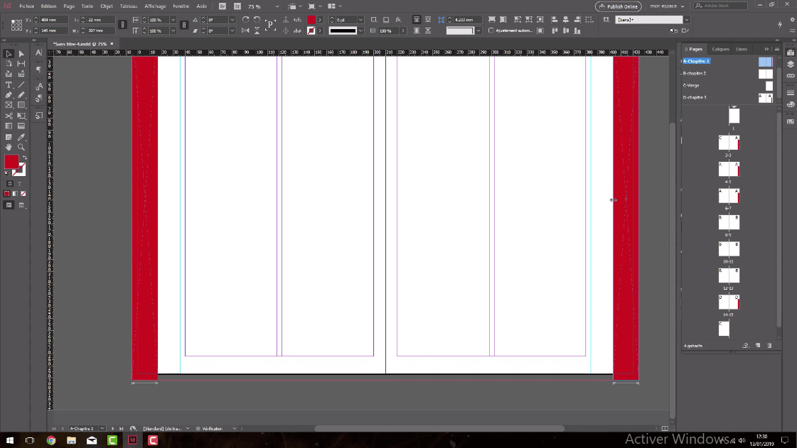 Adobe Indesign Elements