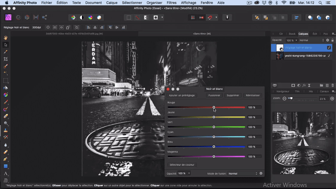 Passer Image En Noir Et Blanc Indesign