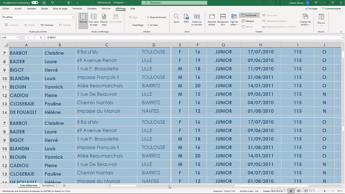 MEILLEUR TUTO GRATUIT Excel 2019 : Niveau Expert Fractionner Un Tableau ...