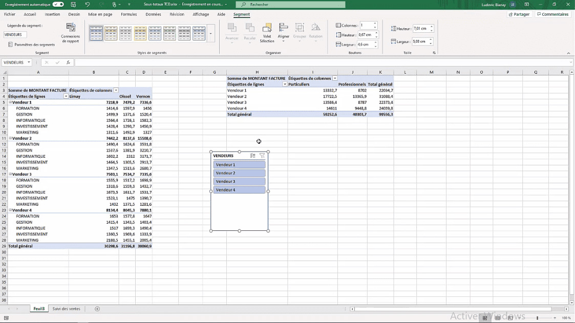 Meilleur Tuto Gratuit Excel 2019 Niveau Expert Partage De Segments Entre Deux Tableaux 5028