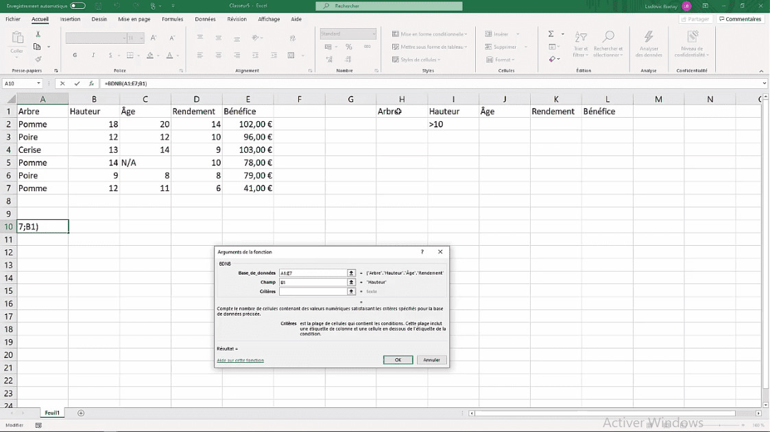 MEILLEUR TUTO GRATUIT Excel 2019 : Niveau Expert Formule BDNB | Alphorm.com