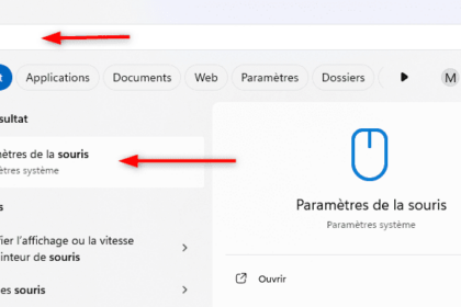 Options souris dans paramètres Windows.