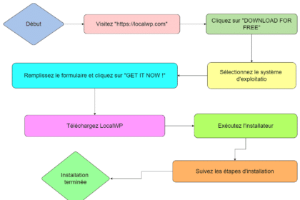 Diagramme flux installation LocalWP