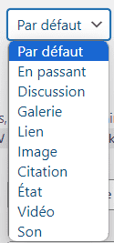 Menu déroulant types publication WordPress