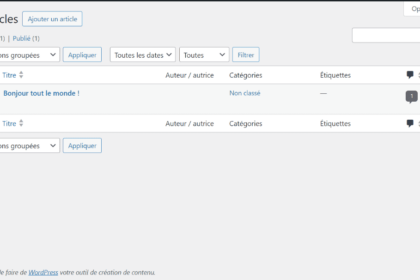Tableau de bord WordPress, gestion des articles