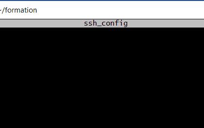 Écran montrant Nano éditant ssh_config