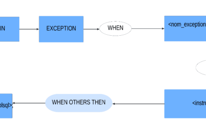 Diagramme de traitement des exceptions PL/SQL