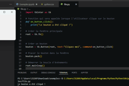 Fenêtre Tkinter avec bouton et code Python