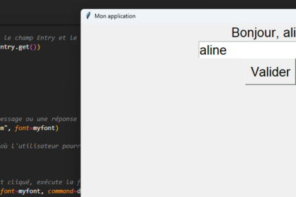 Interface Tkinter avec champ Entry et code Python