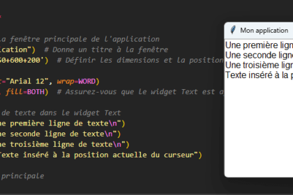 Code Python avec widget Text Tkinter affiché