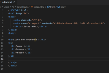 Exemple de liste HTML non ordonnée