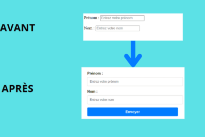 Formulaire amélioré par le CSS