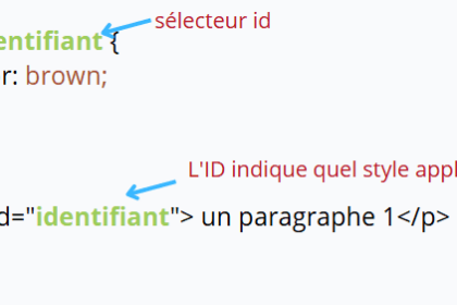 Exemple de sélecteur ID CSS colorant un paragraphe