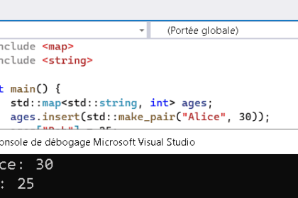 Code C++ utilisant map et affichage console